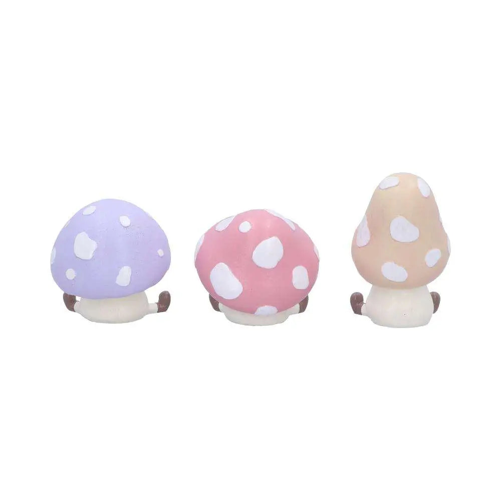 THREE WISE TOADSTOOLS