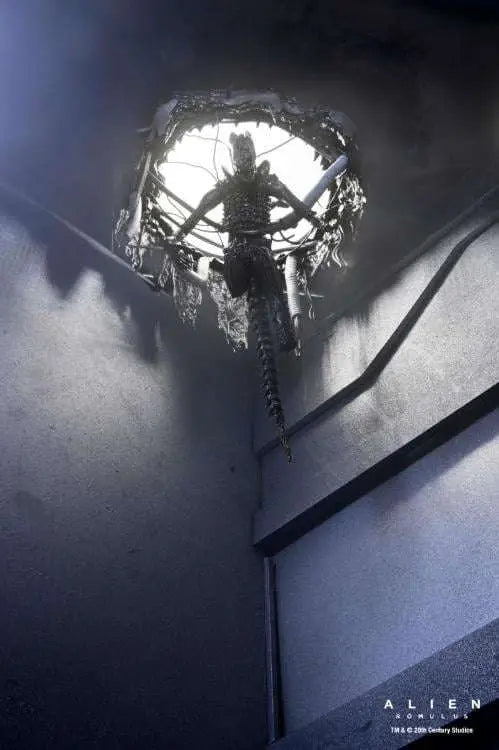 Alien: Romulus Figura Deluxe Suspended Lab Xenomorph XX121 18 cm