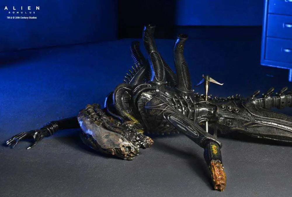 Alien: Romulus Figura Deluxe Suspended Lab Xenomorph XX121 18 cm
