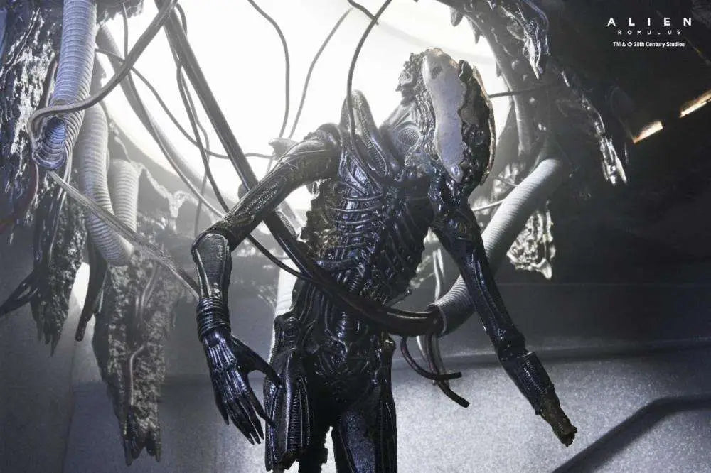 Alien: Romulus Figura Deluxe Suspended Lab Xenomorph XX121 18 cm