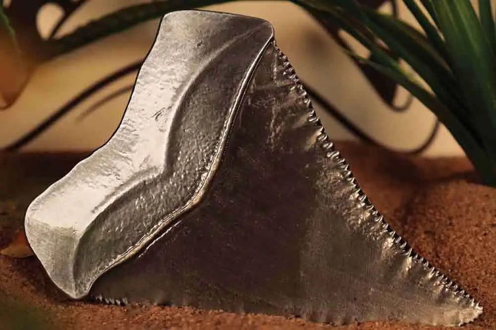 Jaws Medallón 50th Anniversary Shark Tooth