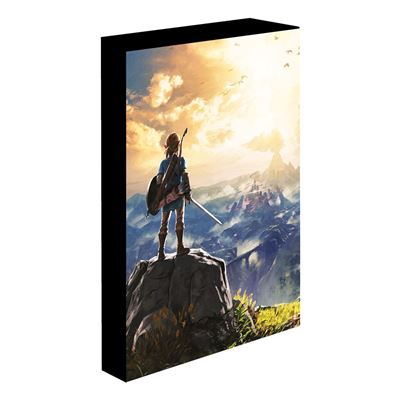 THE LEGEND OF ZELDA INTO THE WILDS Lámpara UP CANVAS Frikytopia