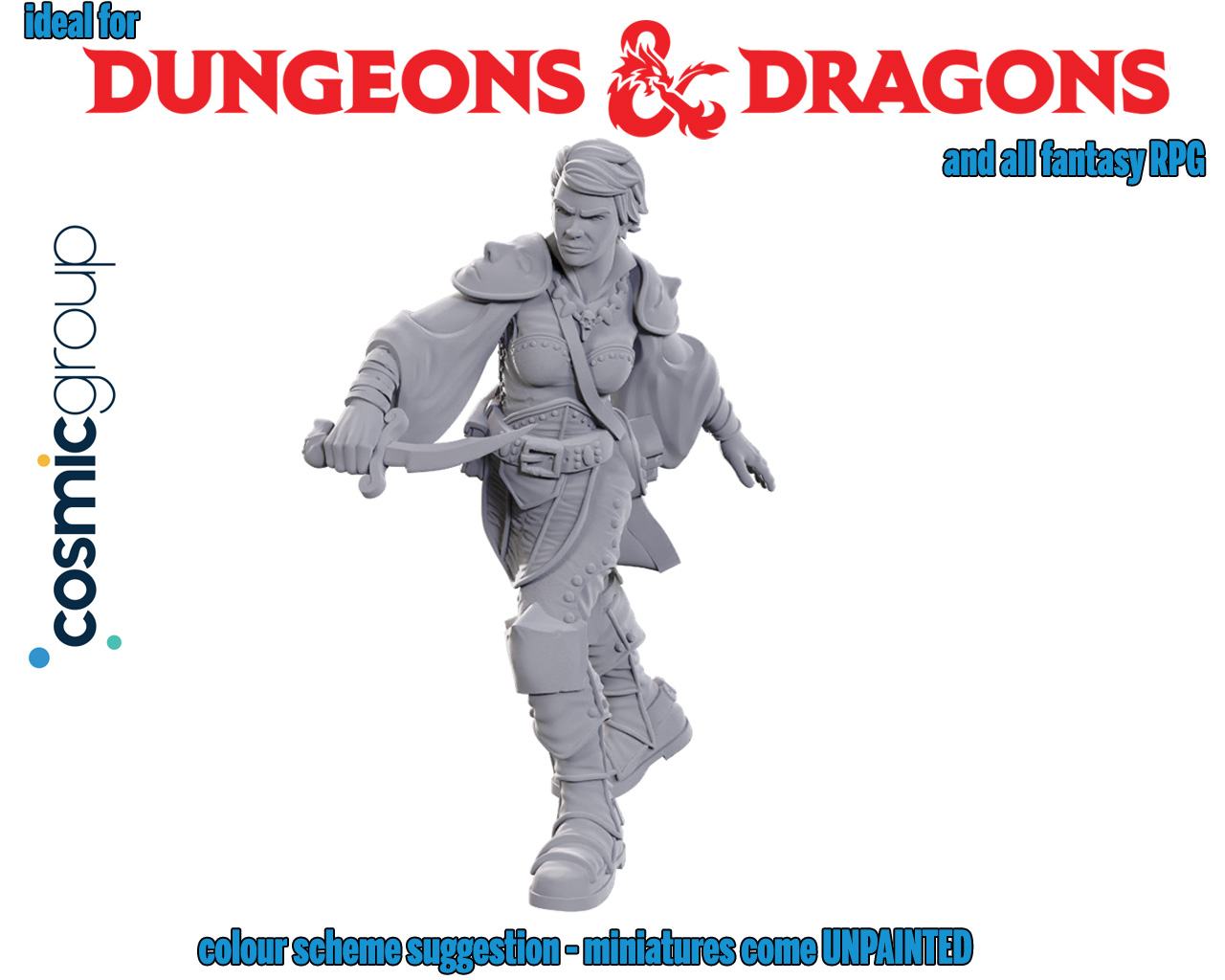 D&D NOLZUR'S MARVELOUS MINIATURES - SWASHBUCKLER Frikytopia