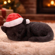 BLACK CAT SLEEPING WITH SANTA HAT Figura