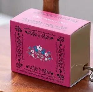 Nicky, la aprendiz de bruja Caja de música de manivela Kiki Flowers
