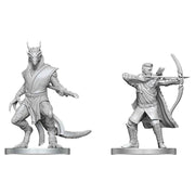 D&D NOLZUR MUM ELF RANGER & DRAGONBORN MONK
