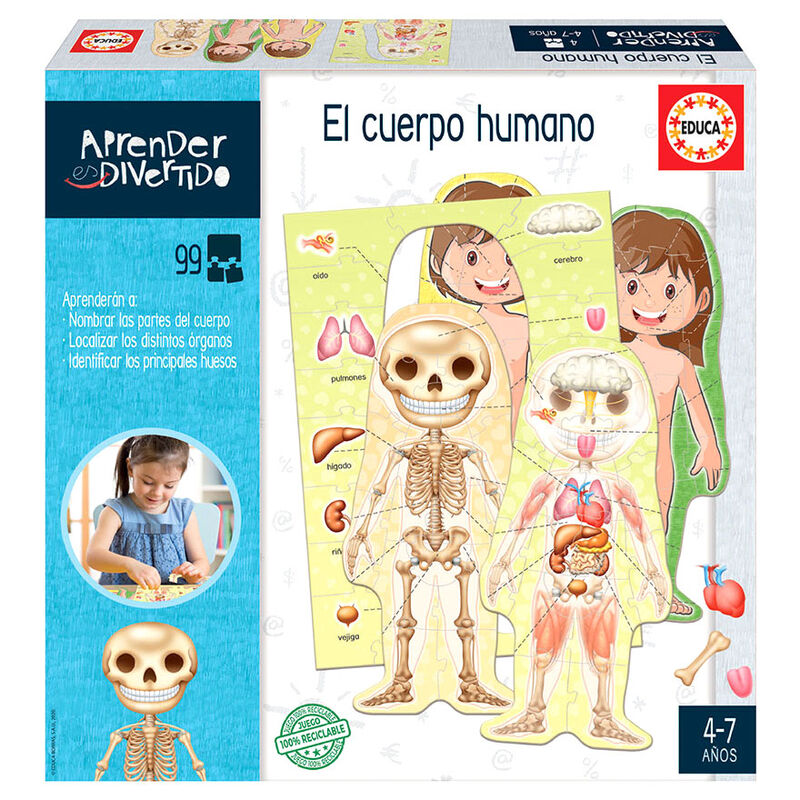 Spanish El Cuerpo Humano español Frikytopia