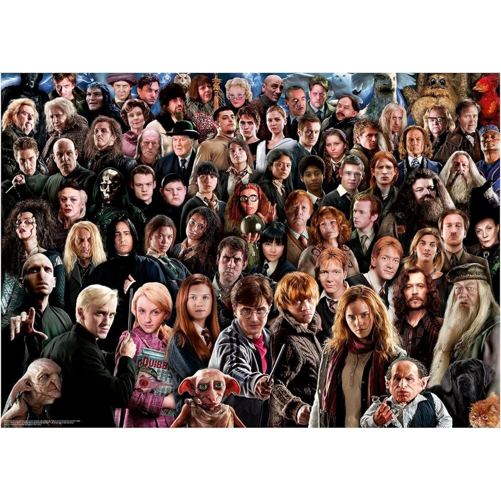 Harry Potter Challenge Puzzle Cast (1000 piezas)