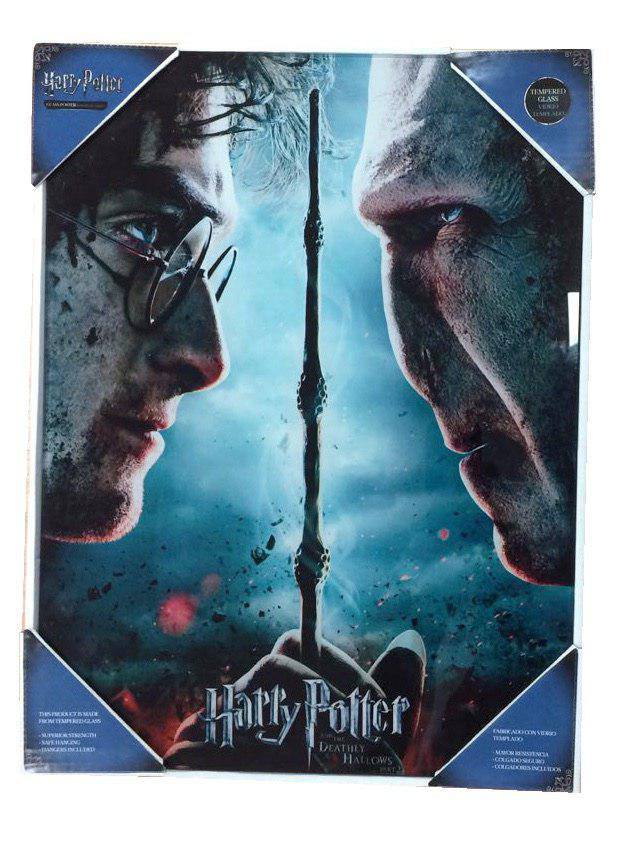 Harry Potter Póster de cristal Harry & Voldemort 30 x 40 cm Frikytopia