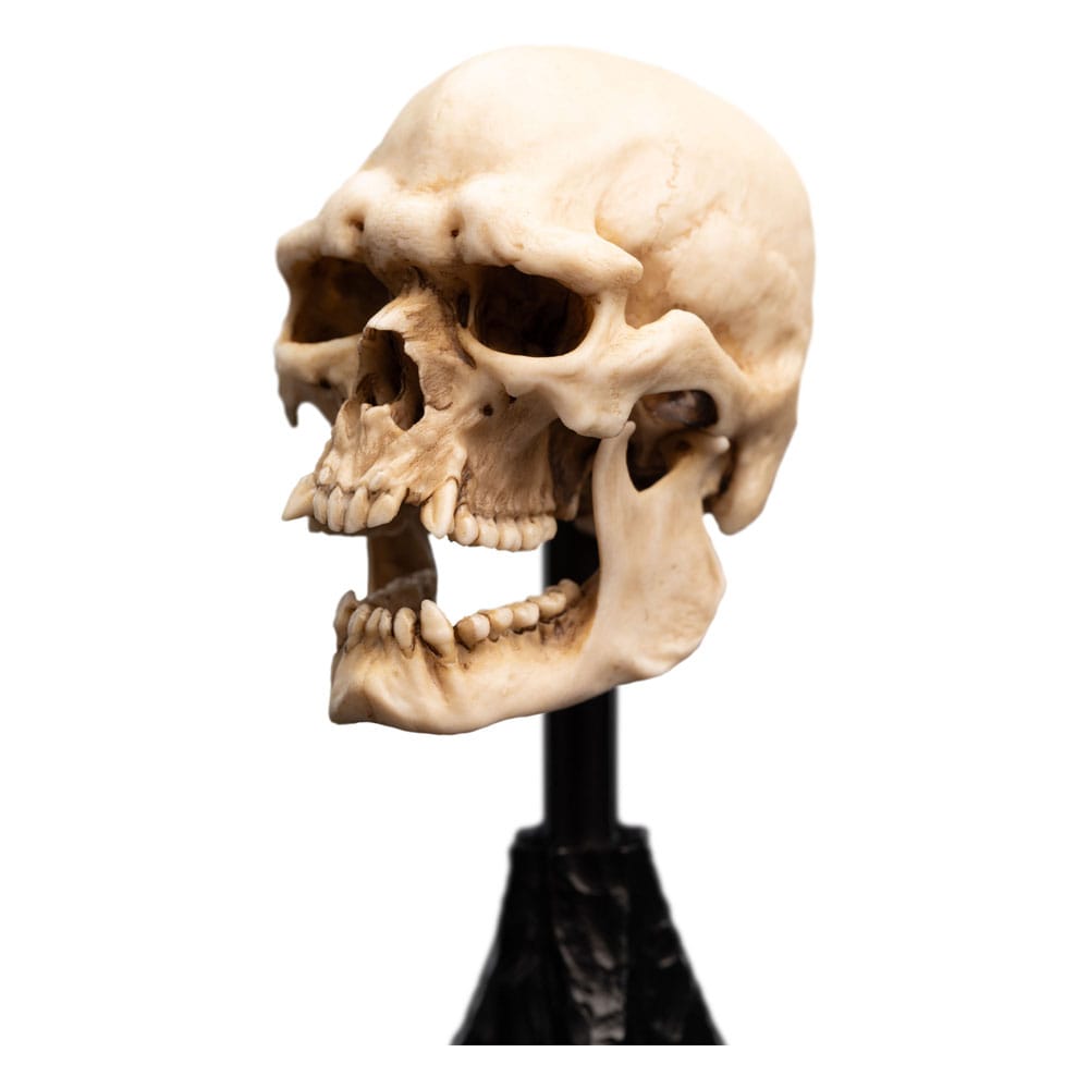 El Señor de los Anillos Estatua Skull of a Mordor Orc 14 cm