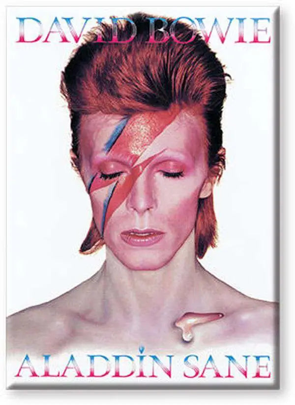 BOWIE ALADDIN SANE FLAT Imán Frikytopia