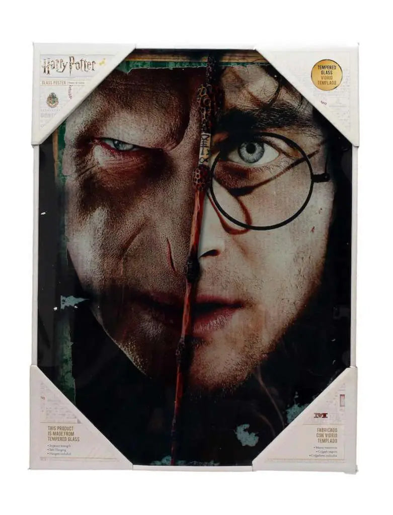 HP HALF FACE HARRY&VOLDEMORT Vaso Póster Frikytopia