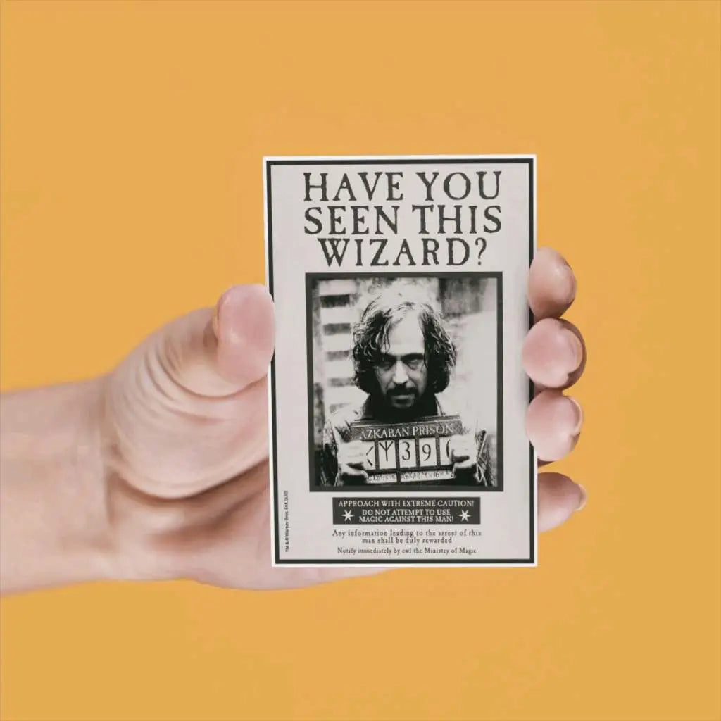 Set 4 imanes lenticulares Harry Potter surtido