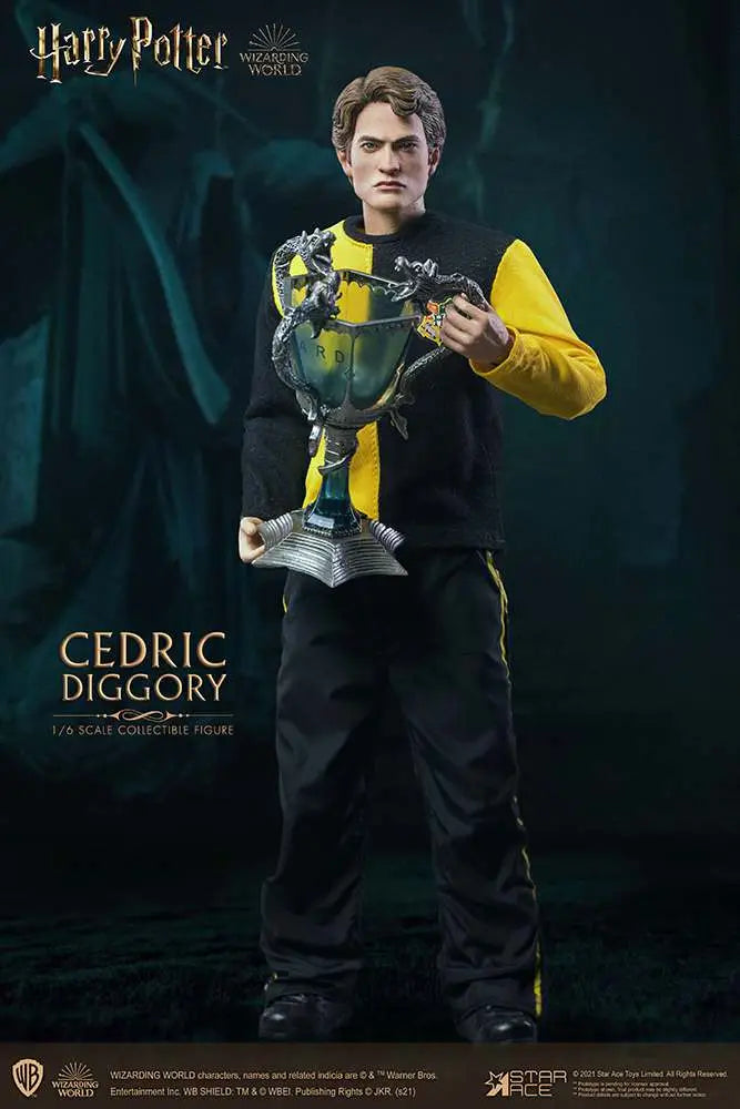 HP CEDRIC DIGGORY 1/6 ACTION Figura