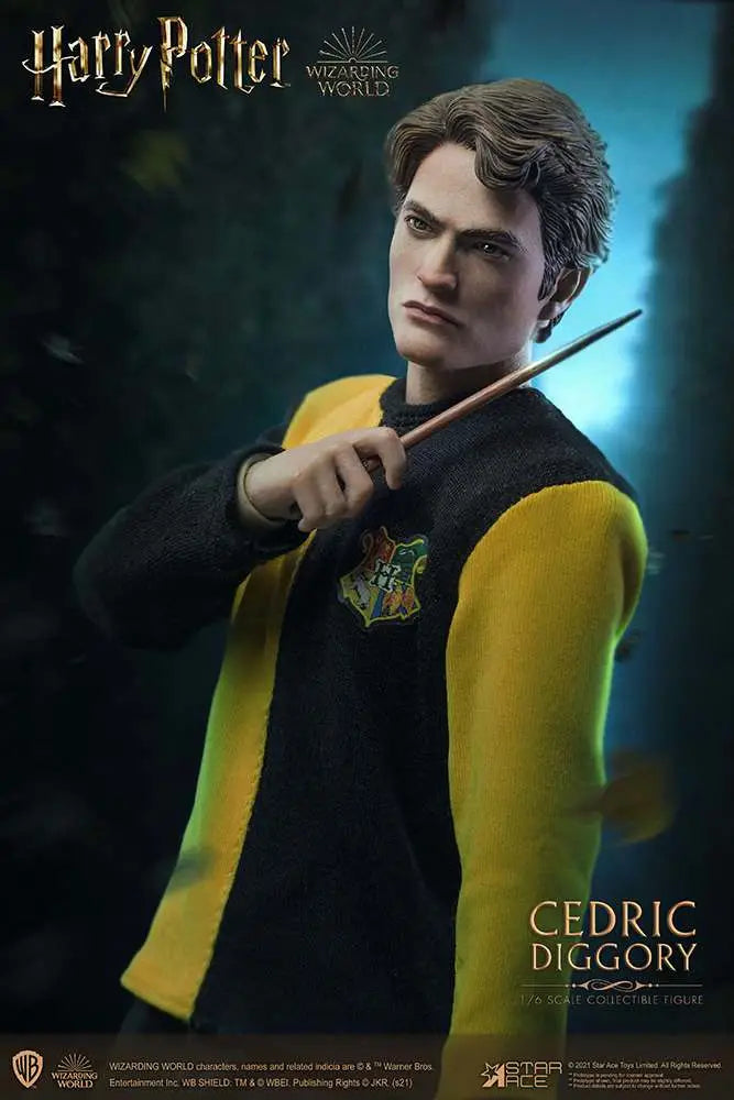 HP CEDRIC DIGGORY 1/6 ACTION Figura