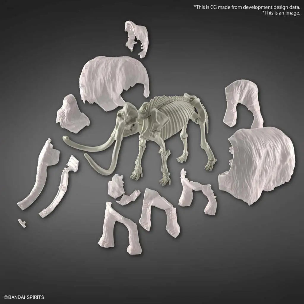 A EXPLORAR LAB NATURE MAMMOTH