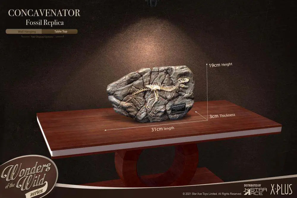 CONCAVENATOR DELUXE Estatua
