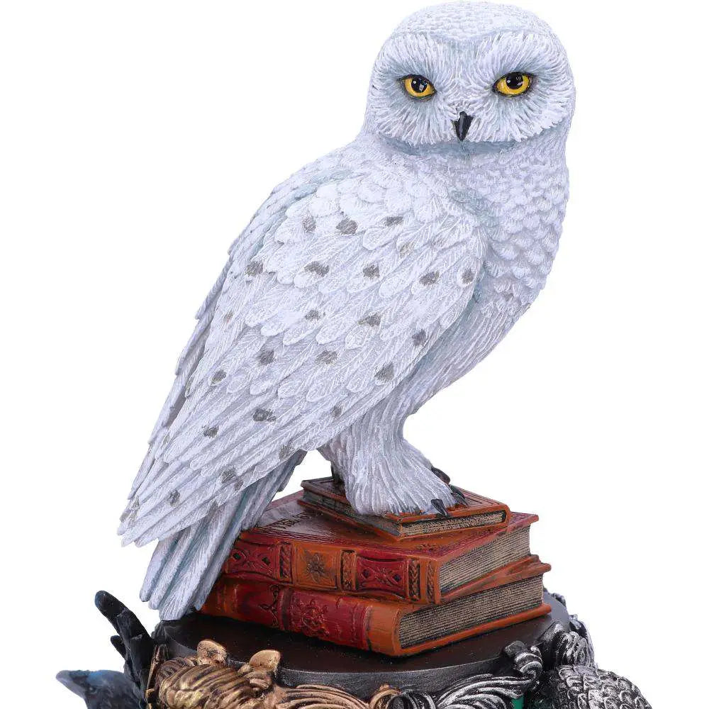 HARRY POTTER HEDWIG Estatua