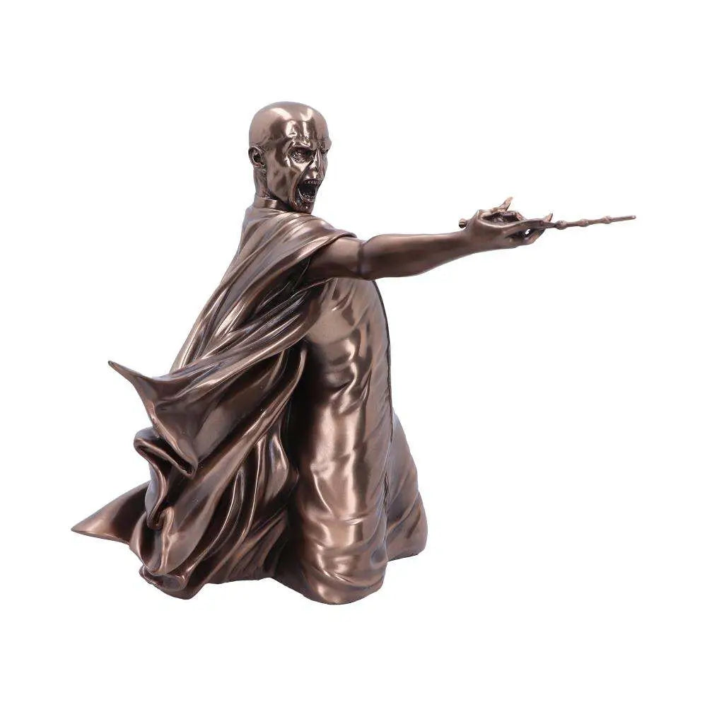 HARRY POTTER VOLDEMORT  AVADA KEDAVRA
