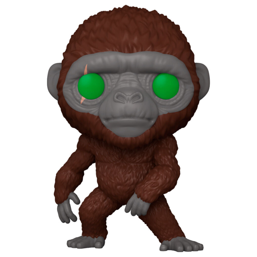 Godzilla vs Kong 2 POP Movies Vinyl Figura Suko 9 cm Frikytopia