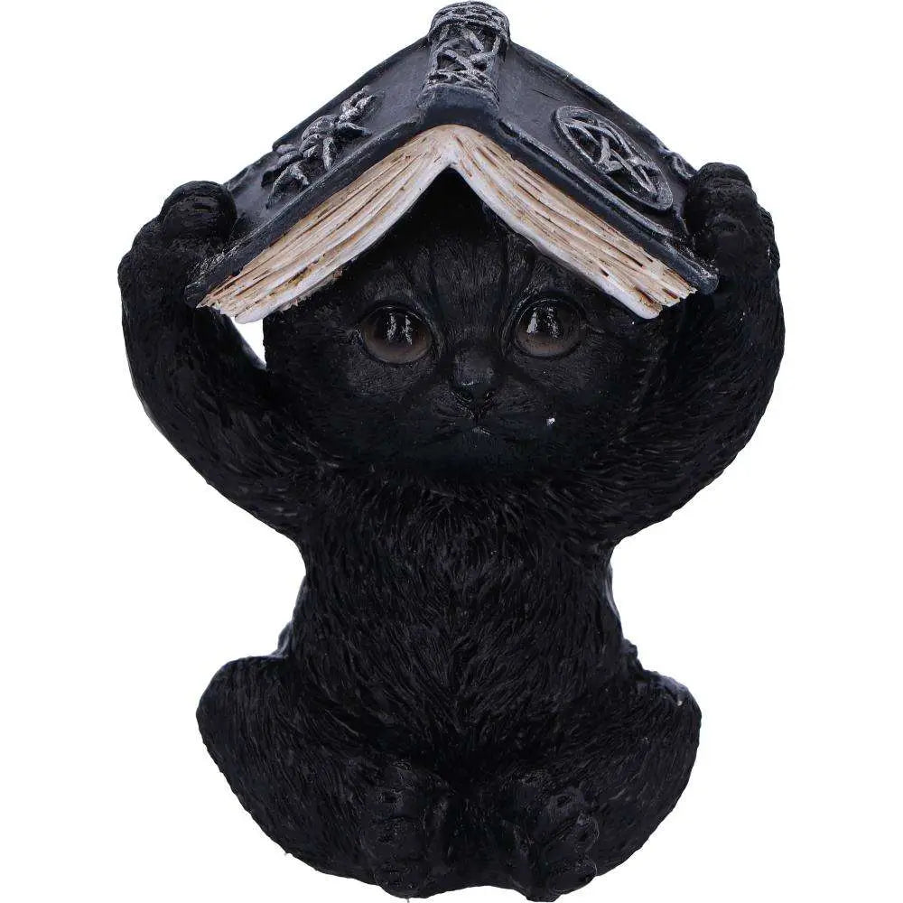 THREE WISE WITCHY BLACK SPELL CATS