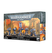 SPACE MARINE STERNGUARD VETERAN SQUAD