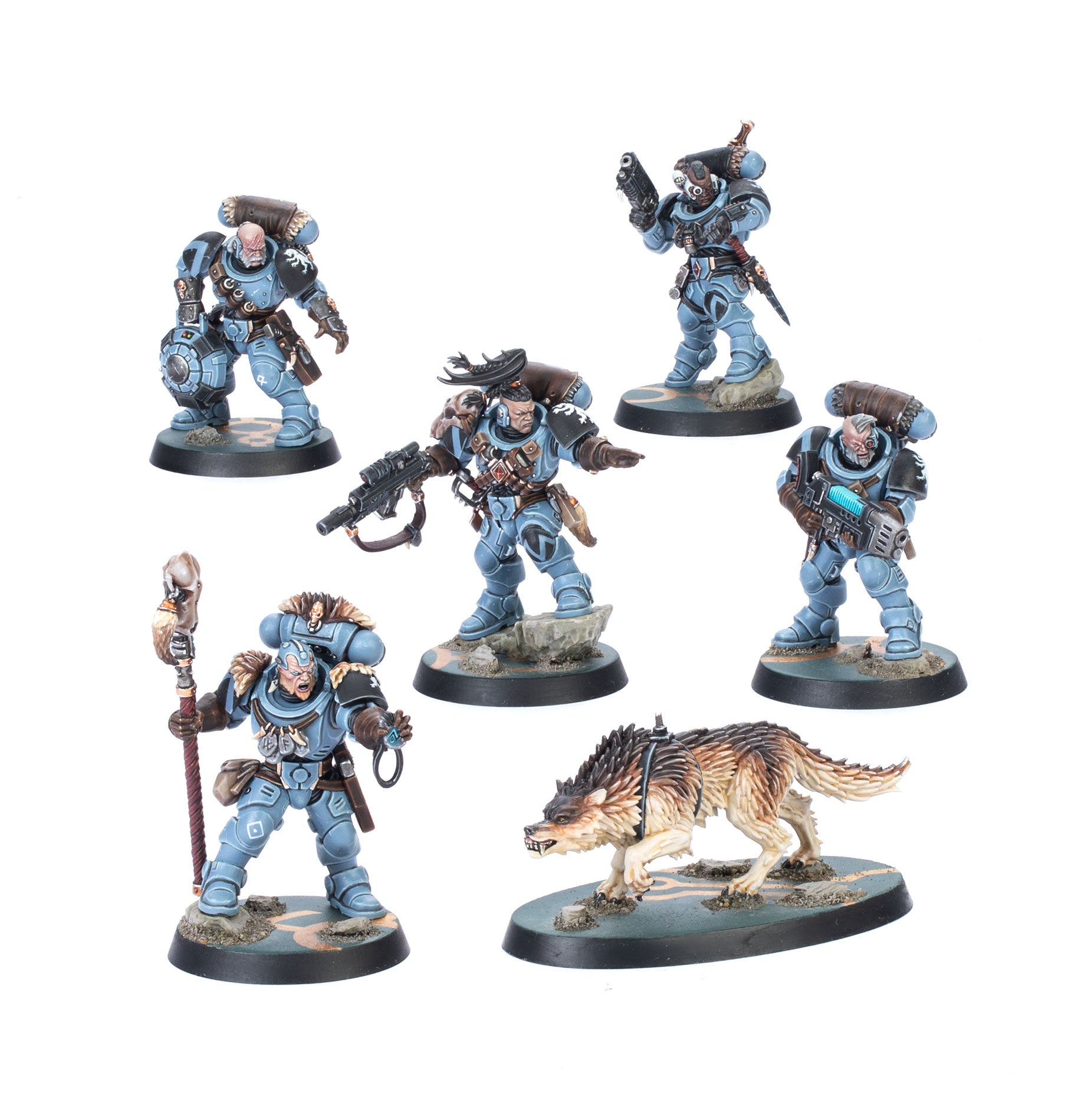 COMANDO DE EXPLORADORES LOBO