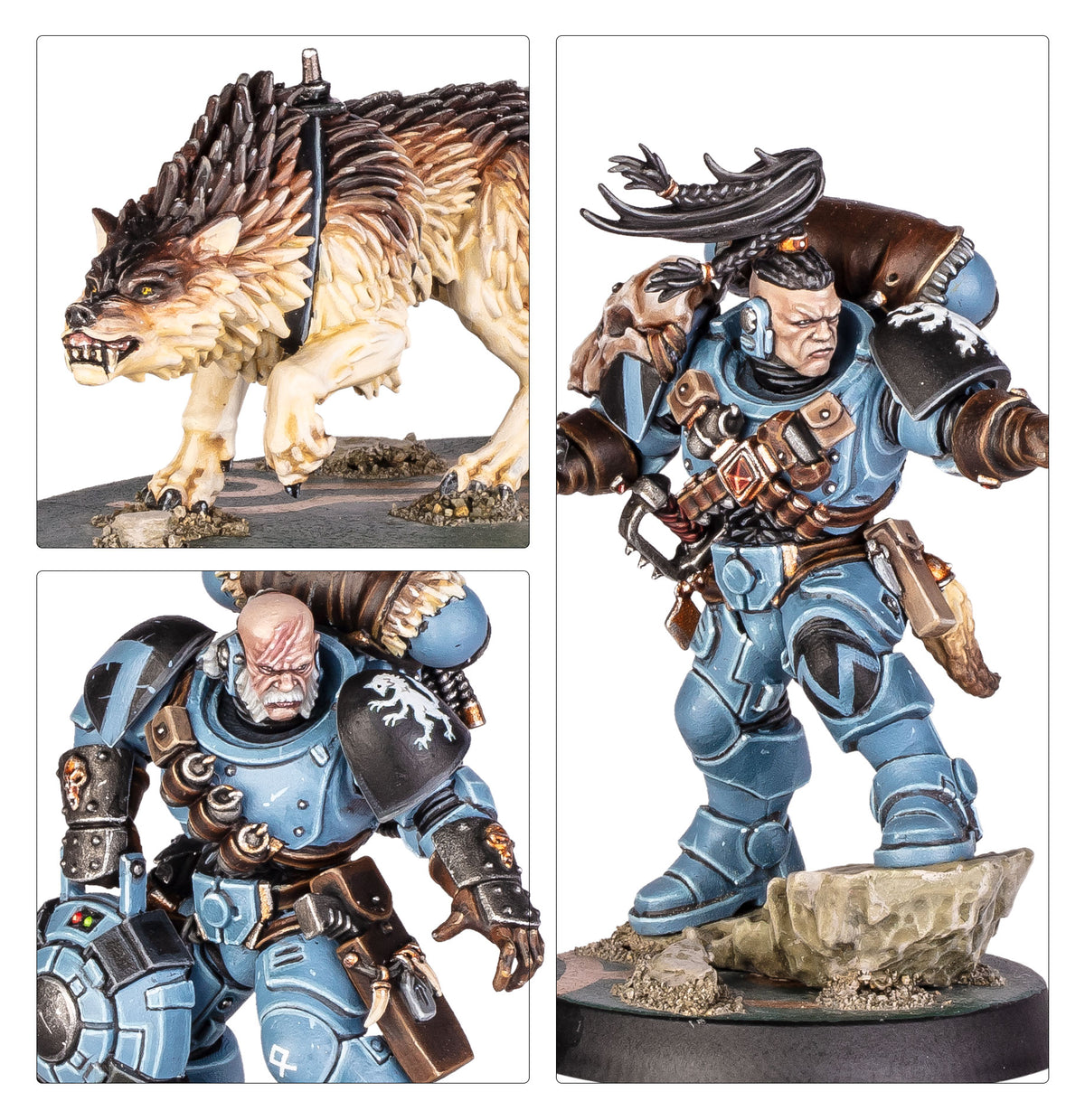 COMANDO DE EXPLORADORES LOBO