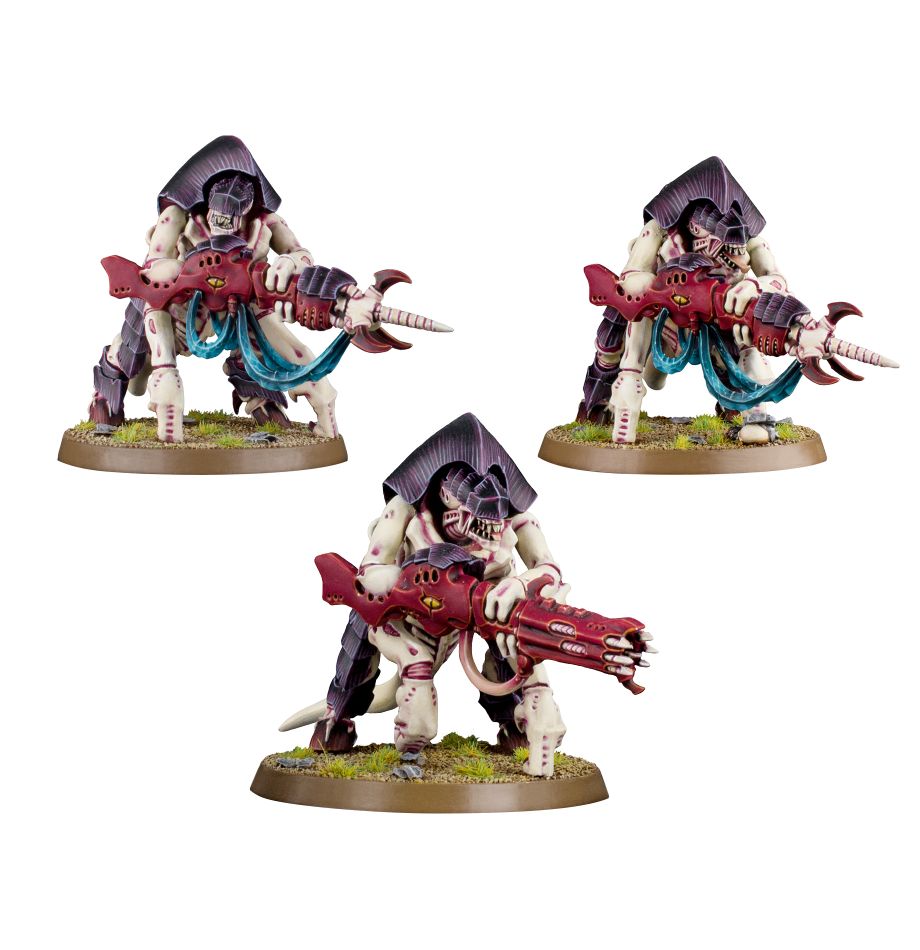TYRANIDS: GUARDIA DE ENJAMBRE