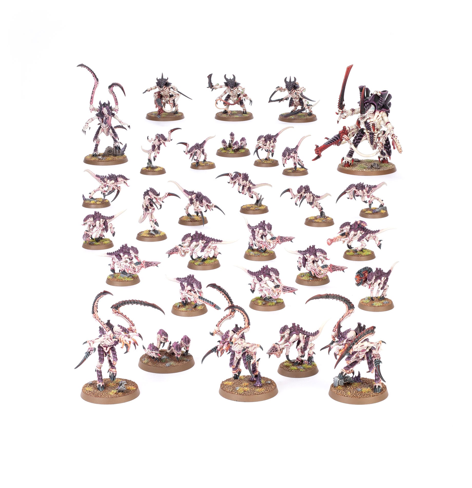 TYRANIDS: ENJAMBRE TIRÁNIDO