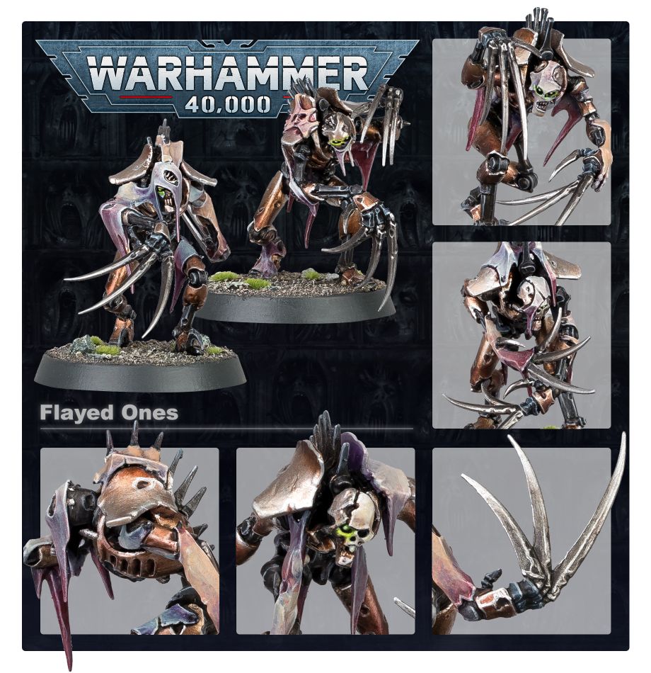 NECRONS: ESFOLADORES