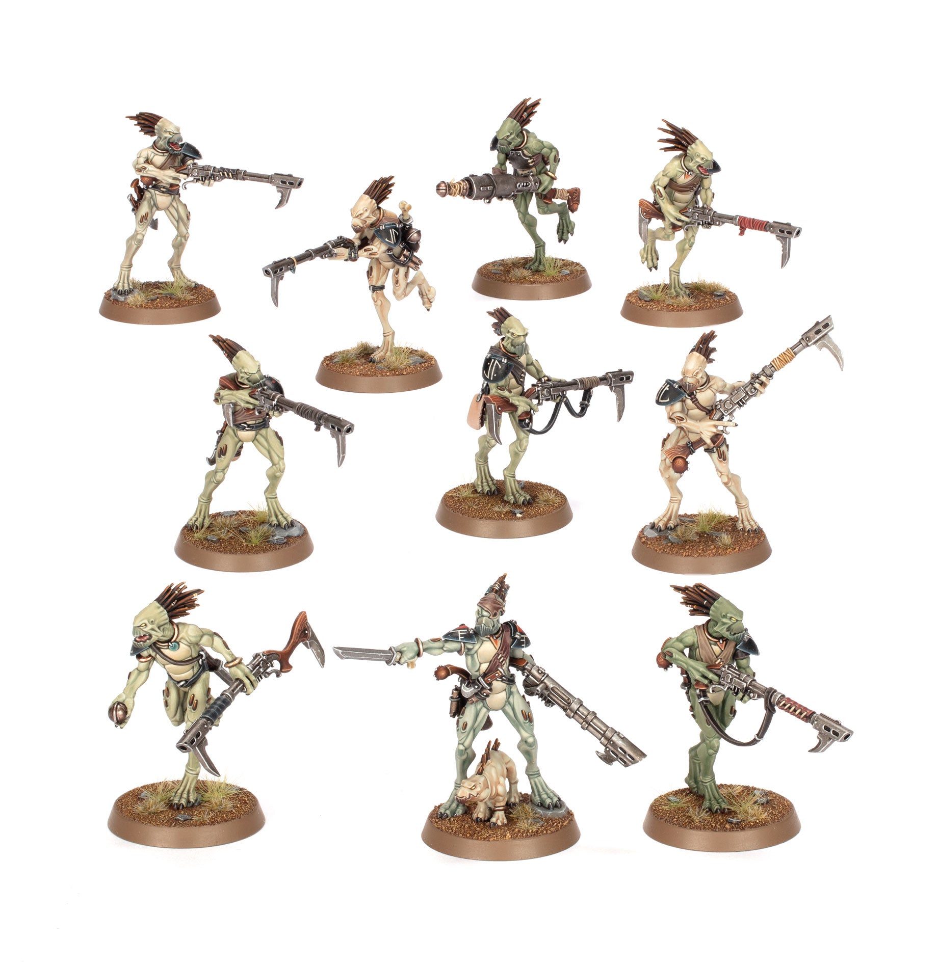 CARNIVOROS KROOT