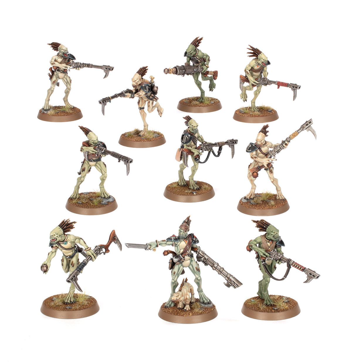 KROOT CARNÍVOROS