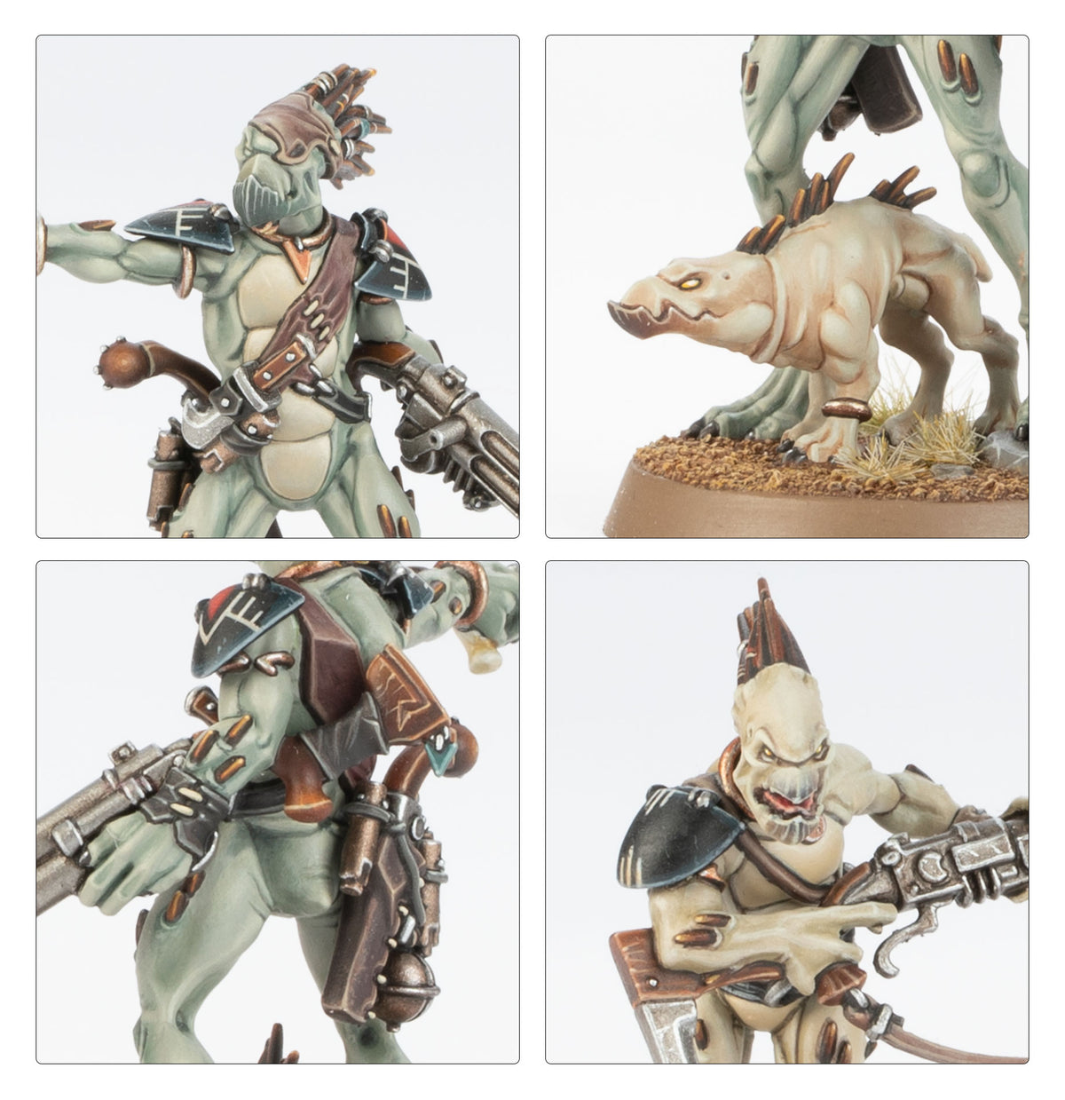 KROOT CARNÍVOROS
