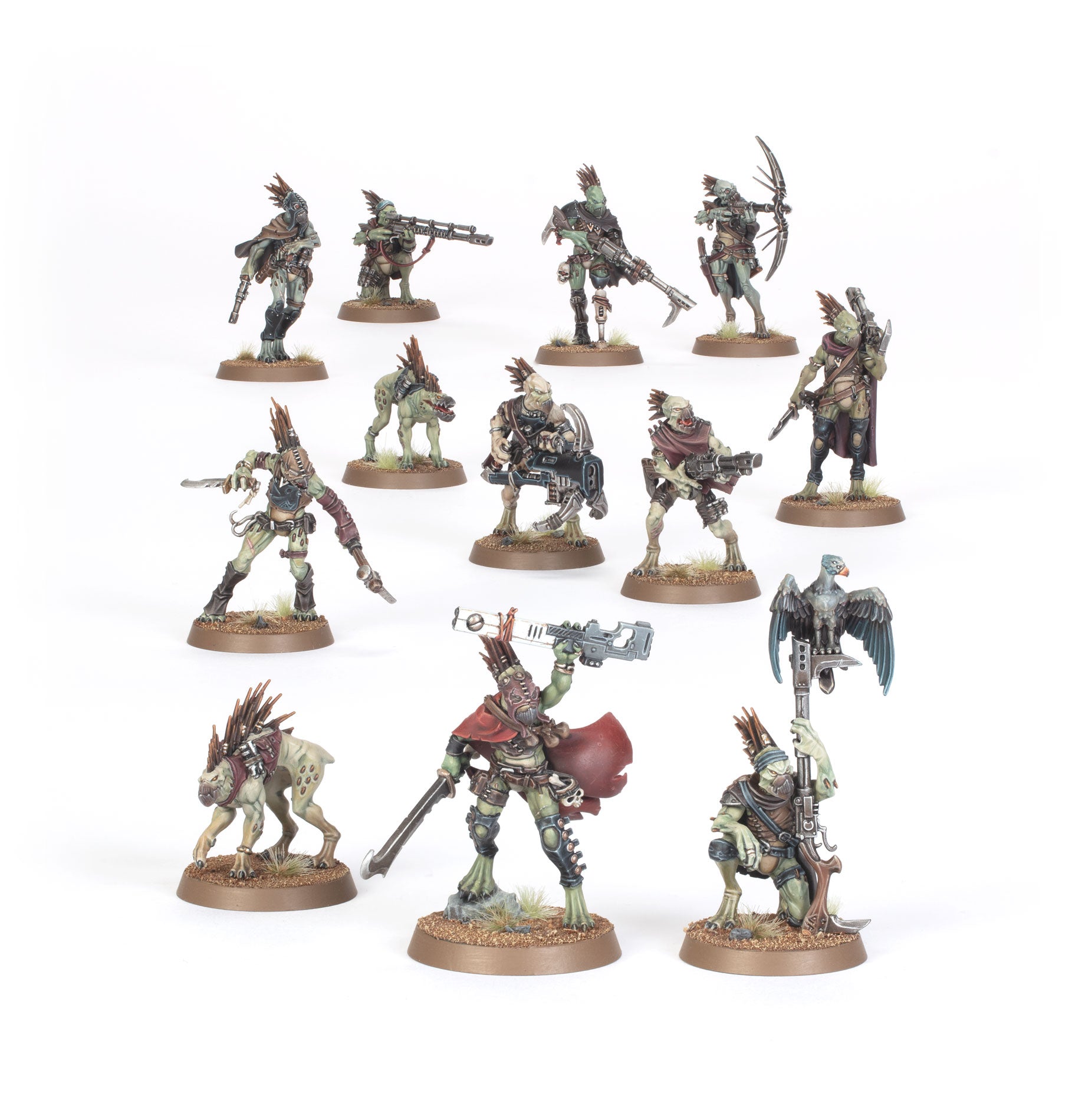 Acechantes Kroot