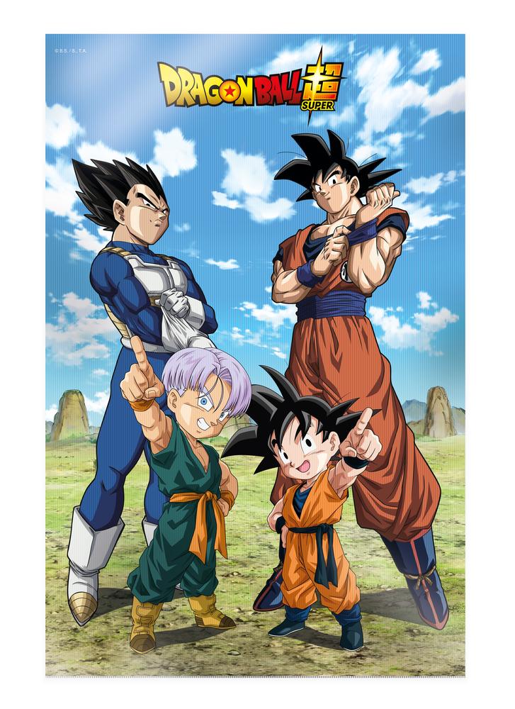 Póster 3D Batalla de Dioses Dragon Ball Super