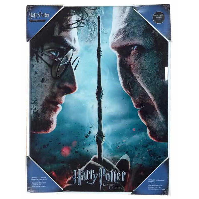 Harry Potter Póster de cristal Harry & Voldemort 30 x 40 cm