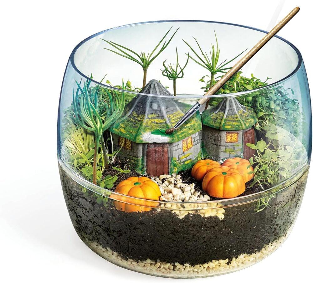 Terrarium Harry Potter