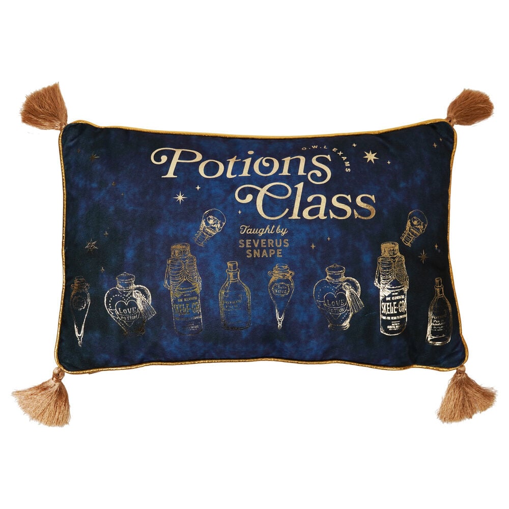 Cojin velvet Potions Class Harry Potter Frikytopia