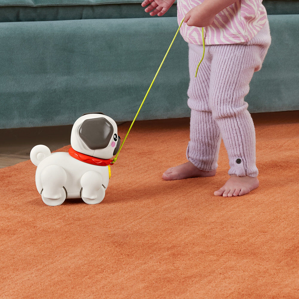 Pasea al Perrito Carlino