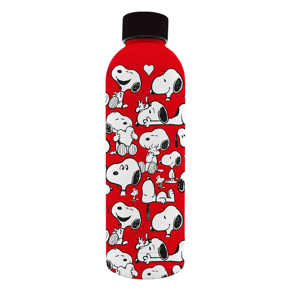 Botella suave acero inoxidable Snoopy Peanuts 800ml Frikytopia