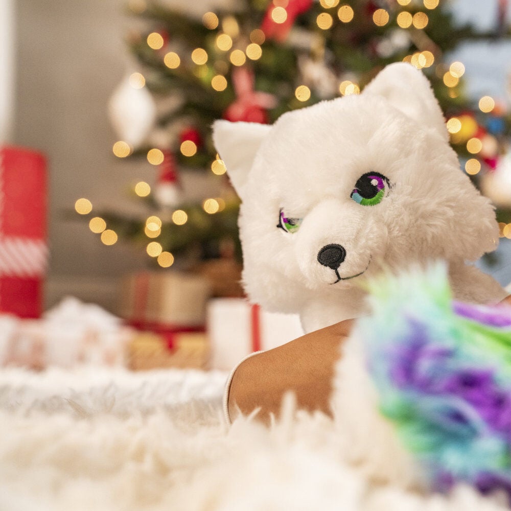 Set Conto + Peluche A História Extraordinária de Norah The Elf on the Shelf português