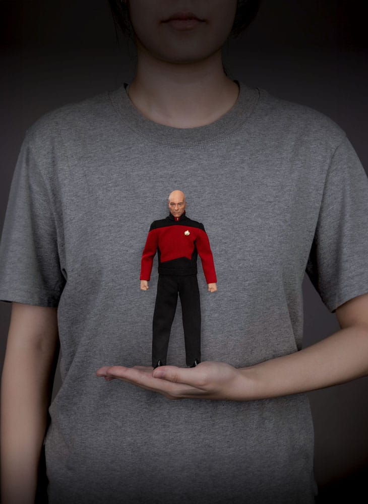 Star Trek: la próxima generación Figura Jean-Luc Picard 20 cm