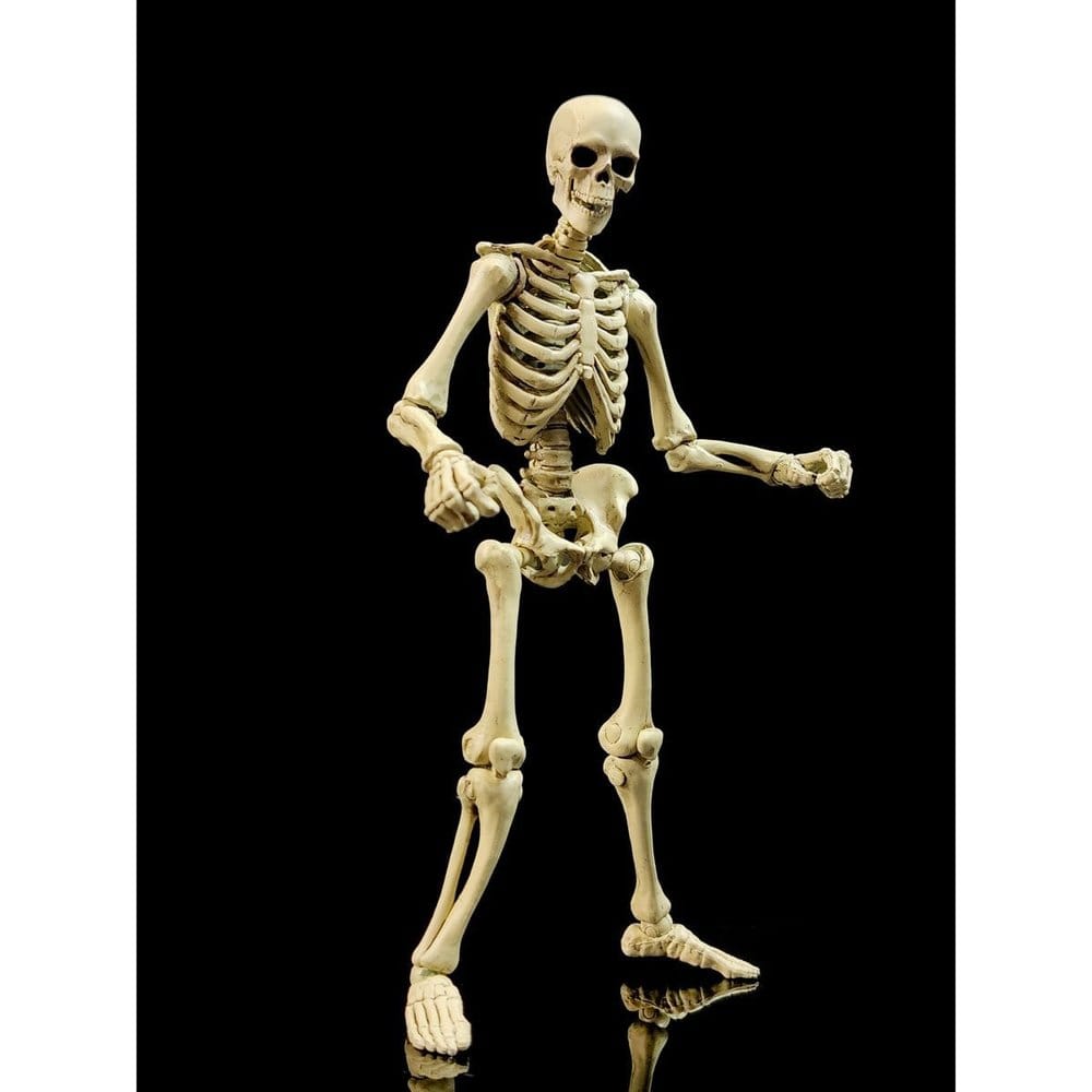 Epic H.A.C.K.S. Figura 1/12 Skeleton Blank Classic Bone Frikytopia