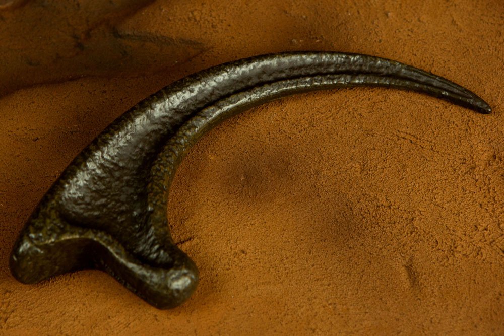 Jurassic Park Replica 1/1 Garra De Raptor