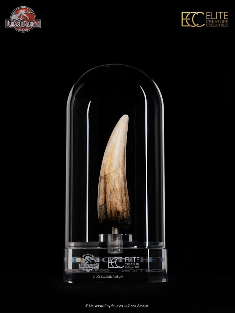 Jurassic Park III Réplica Prop 1/1 Spinosaurus Dente 14 cm
