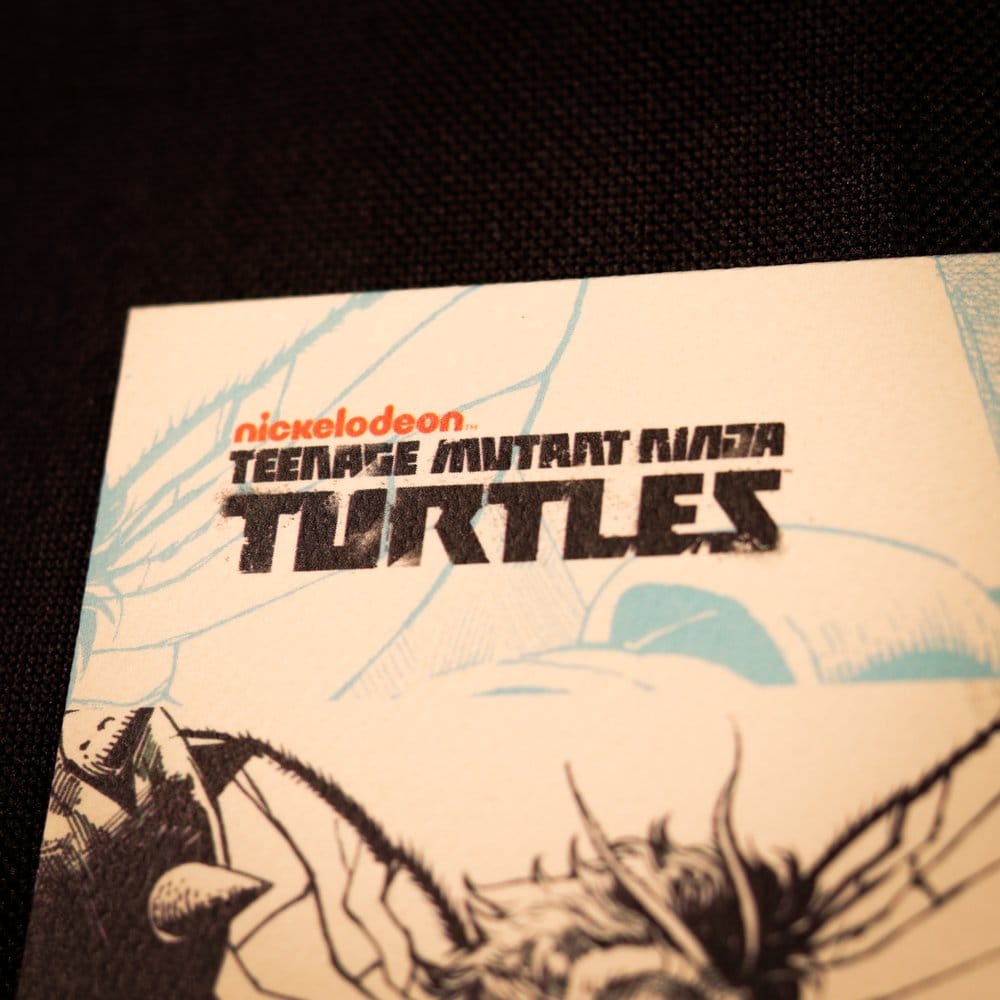 Tortugas Ninja Litografia Comic Limited Edition 42 x 30 cm