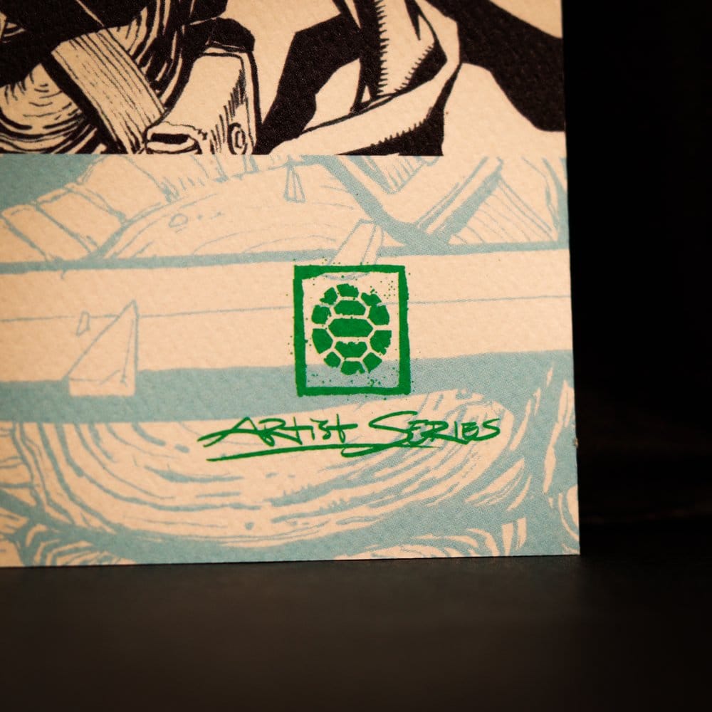 Tortugas Ninja Litografia Comic Limited Edition 42 x 30 cm