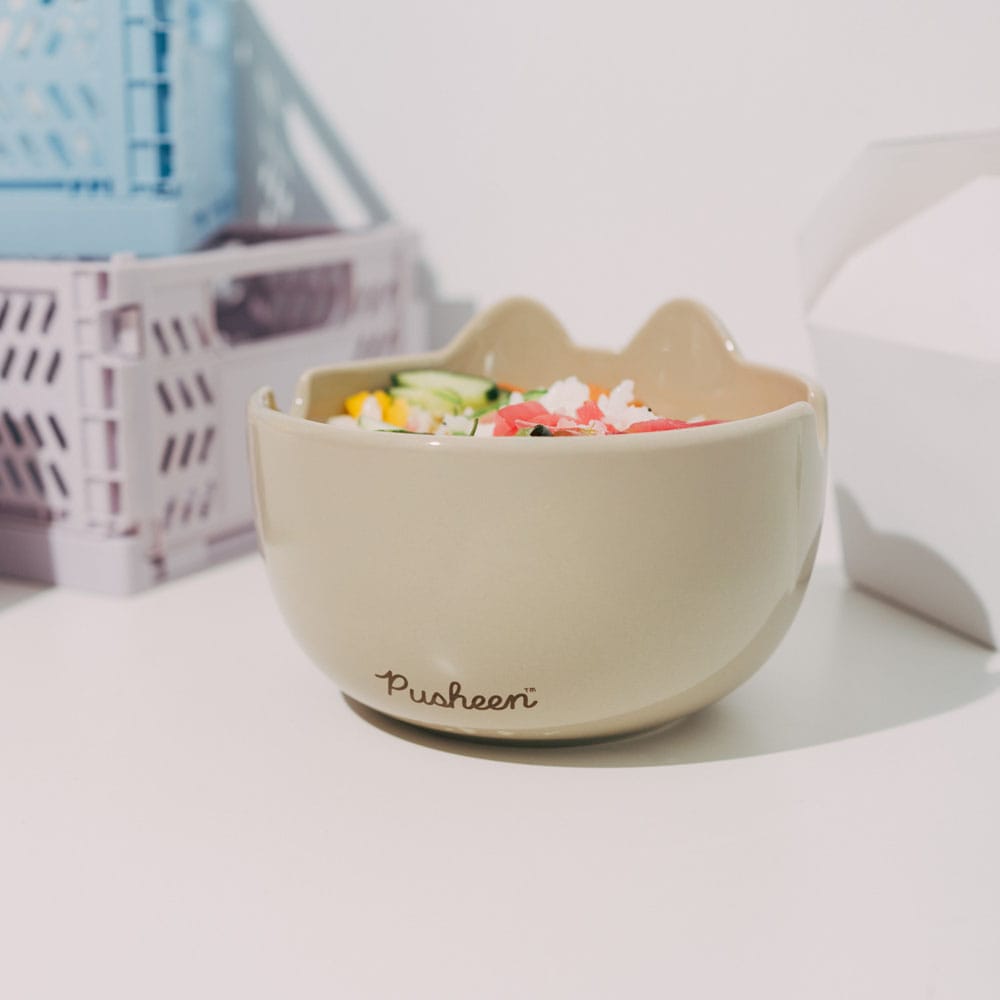 Bowl 3D Ramen Pusheen