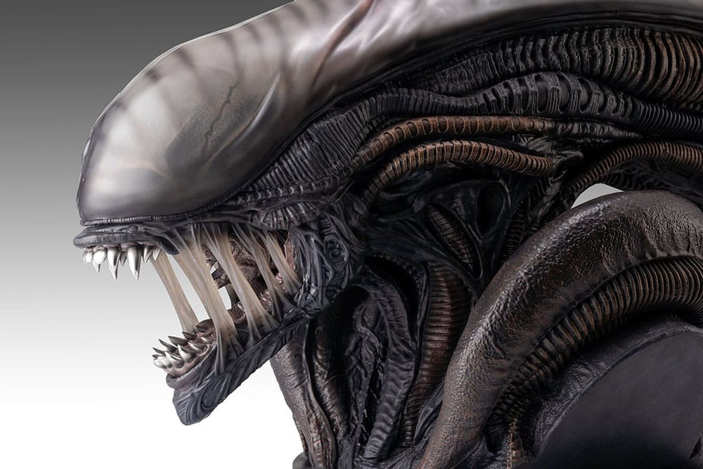 Alien Romulus Busto 1/1 Xenomorph 53 cm